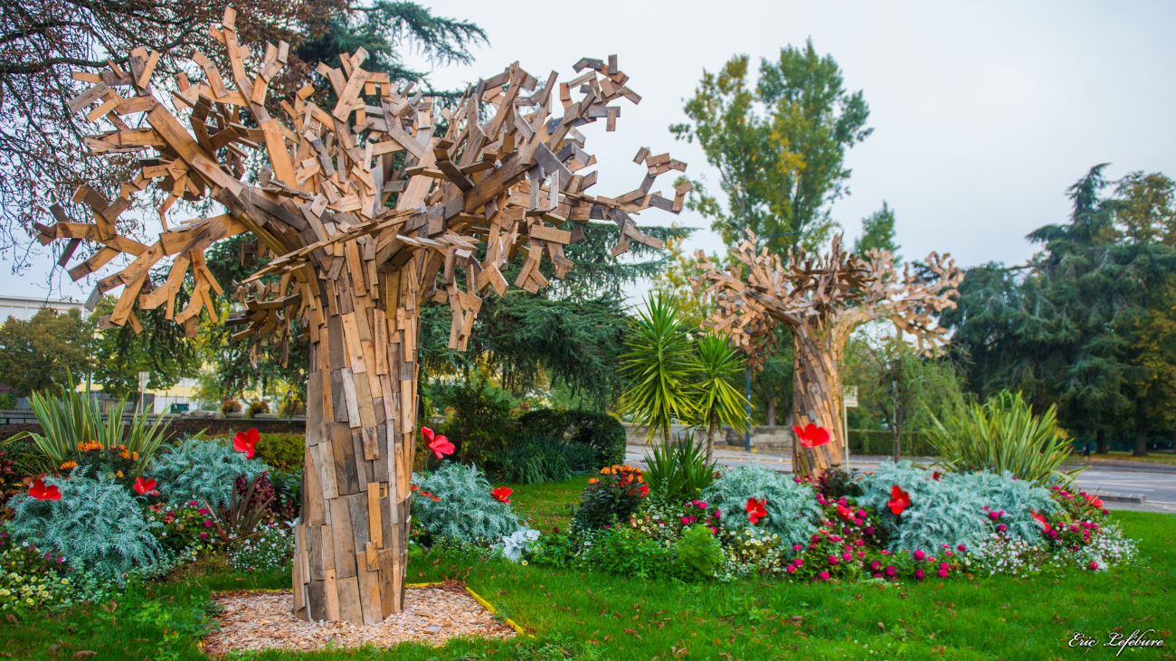 Arbres