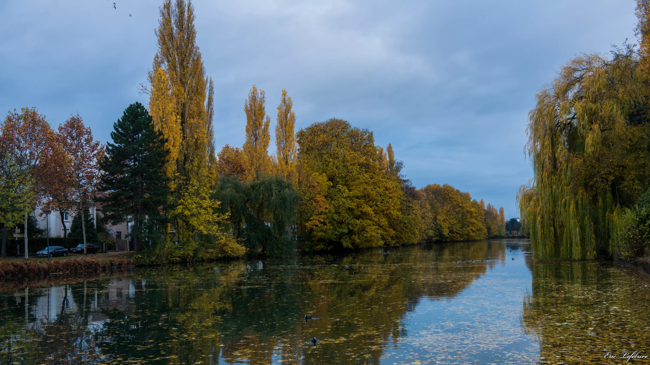 Automne-5