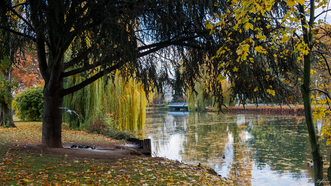 Automne-6