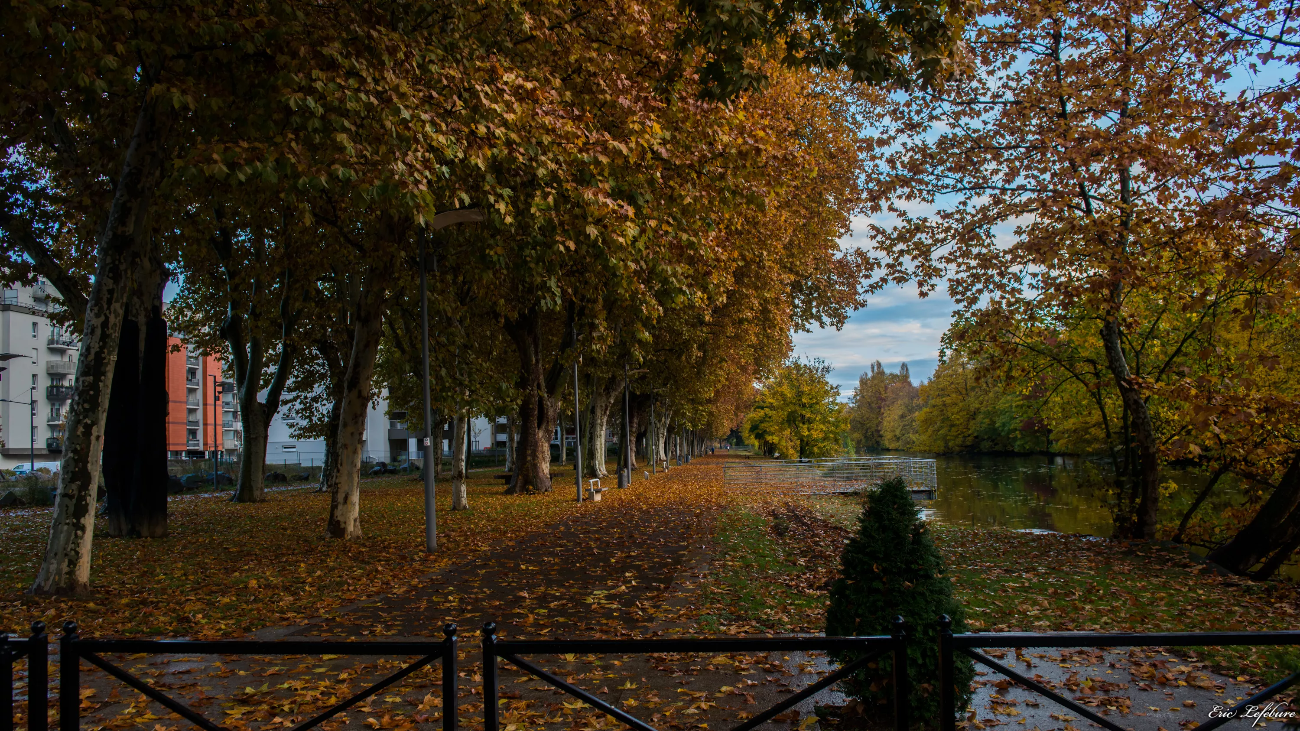 Automne-8