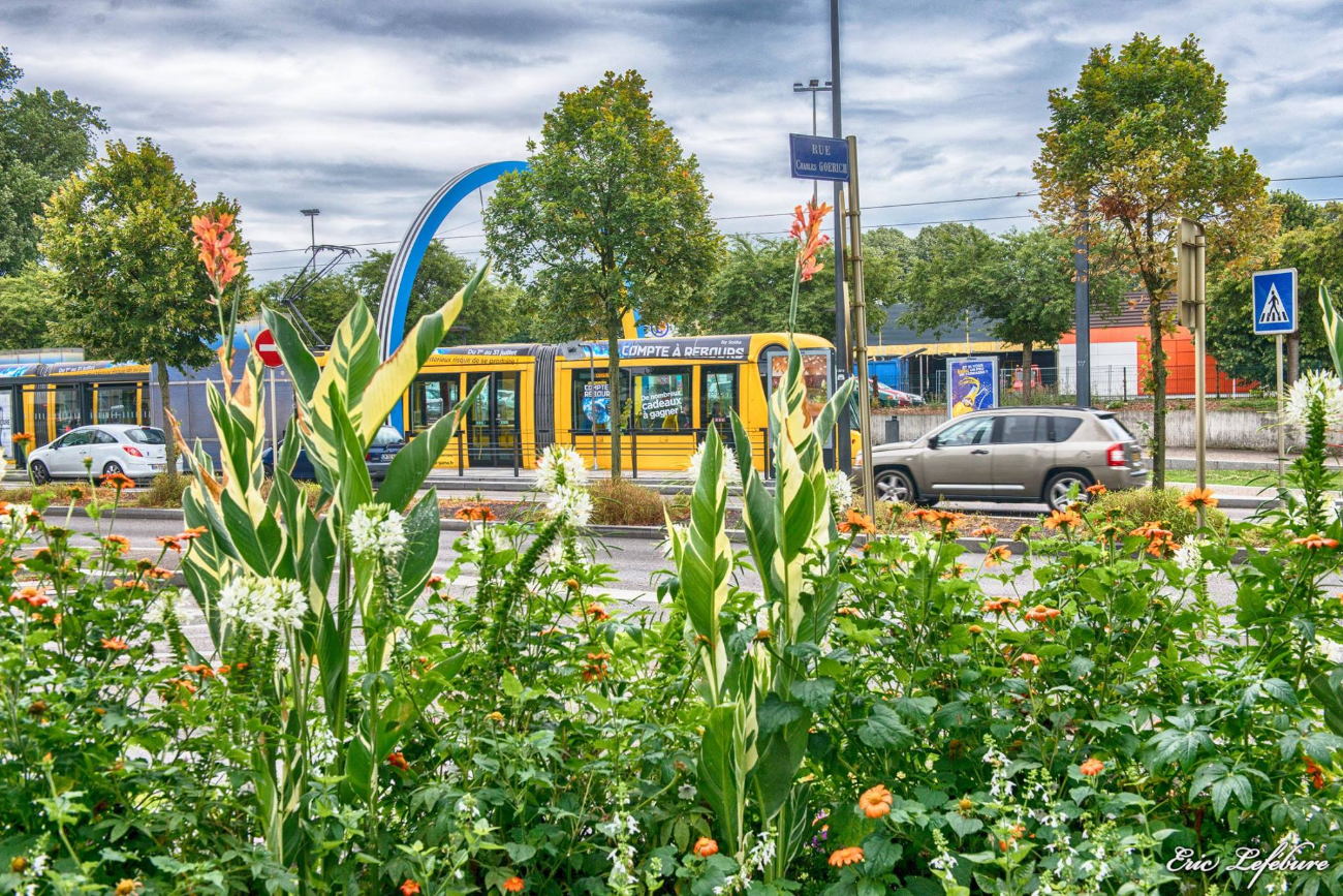 Mulhouse-12