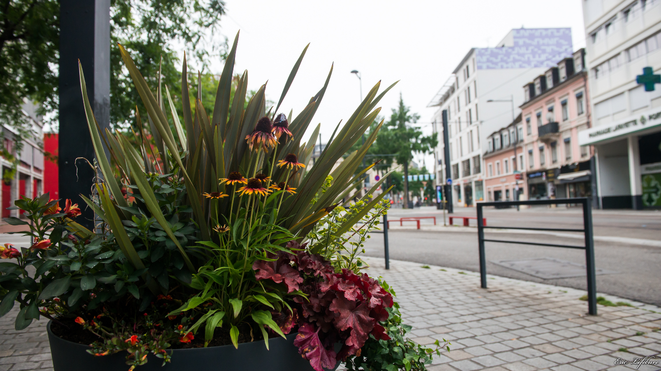 Mulhouse_011