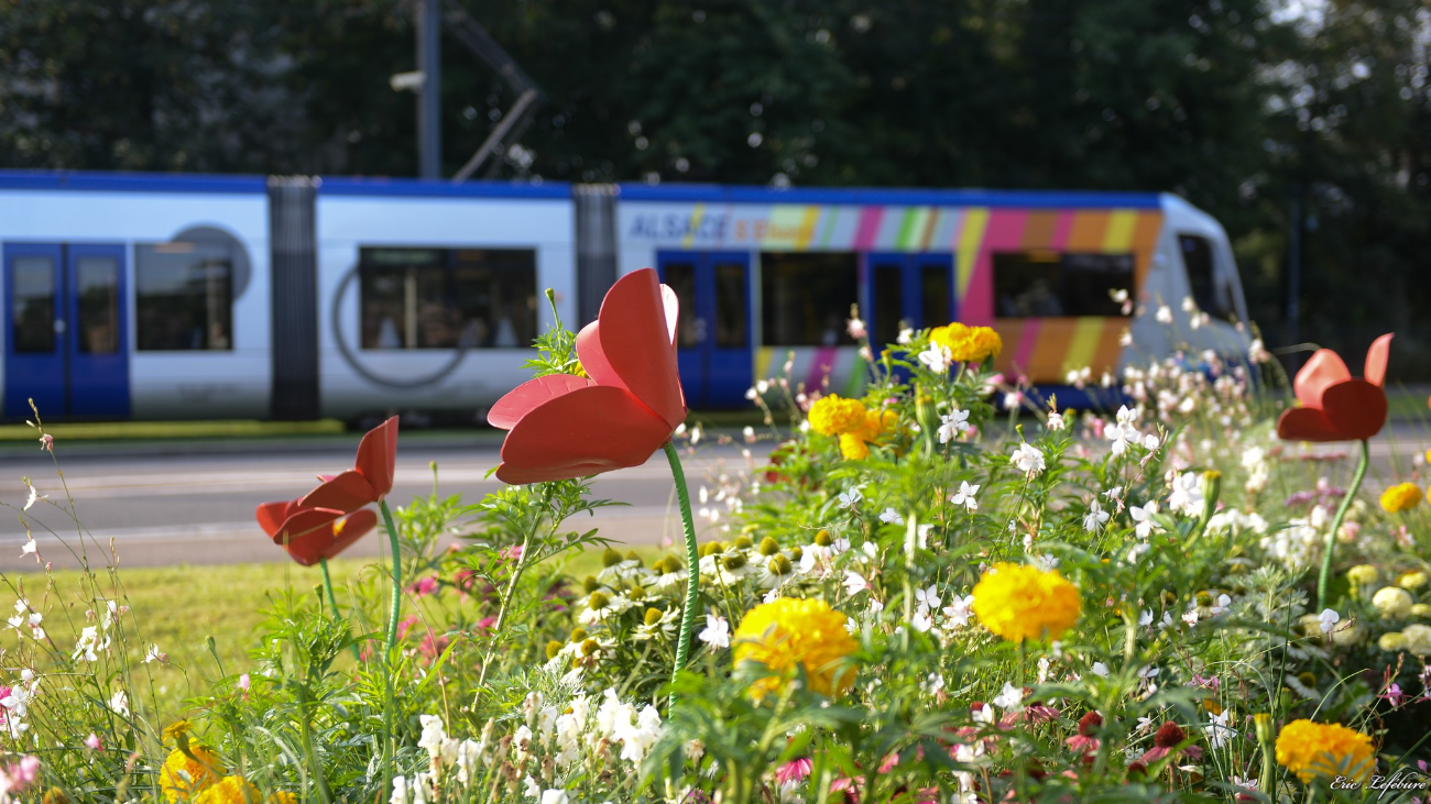 Mulhouse_02