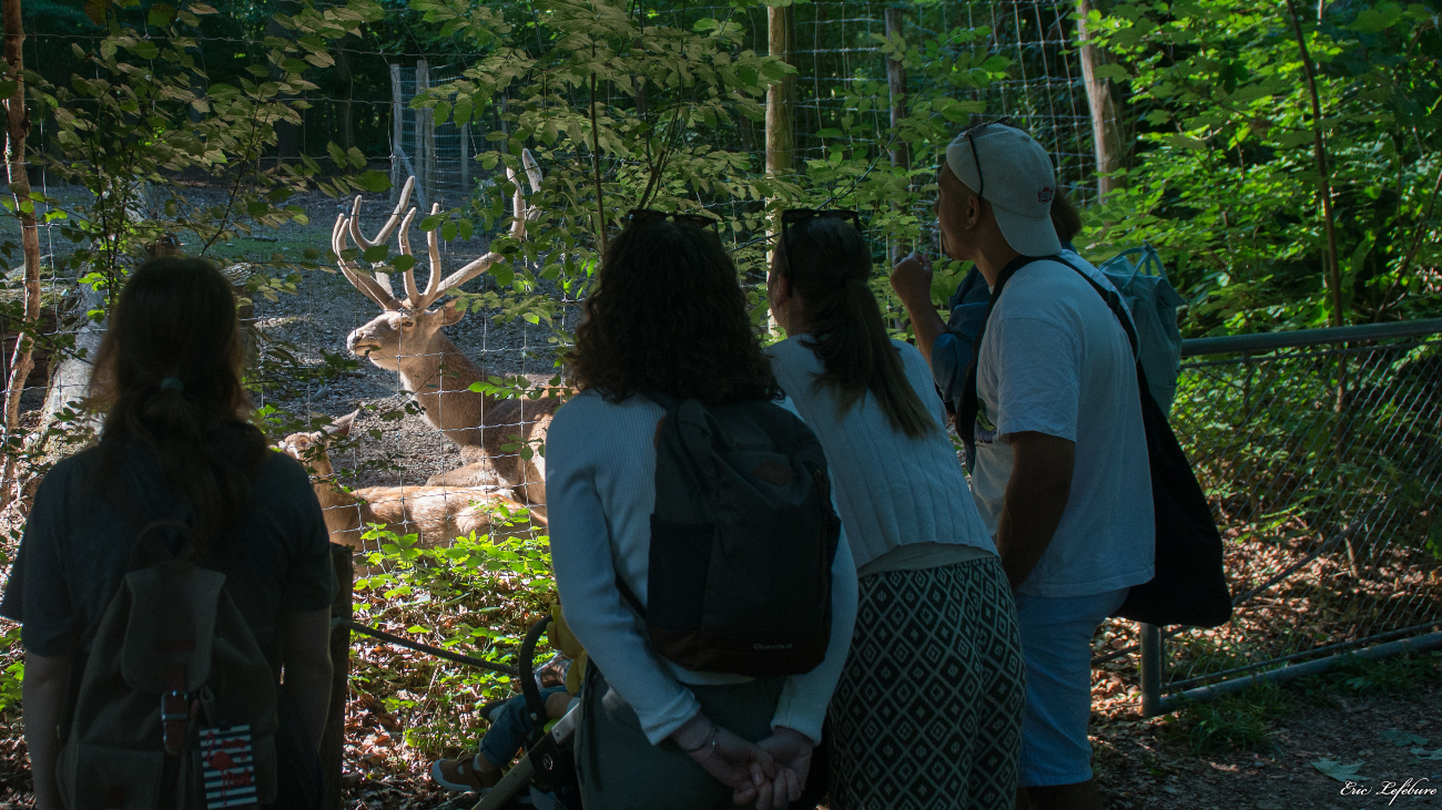 Parc-Zoologique-Botanique-Mulhouse-25