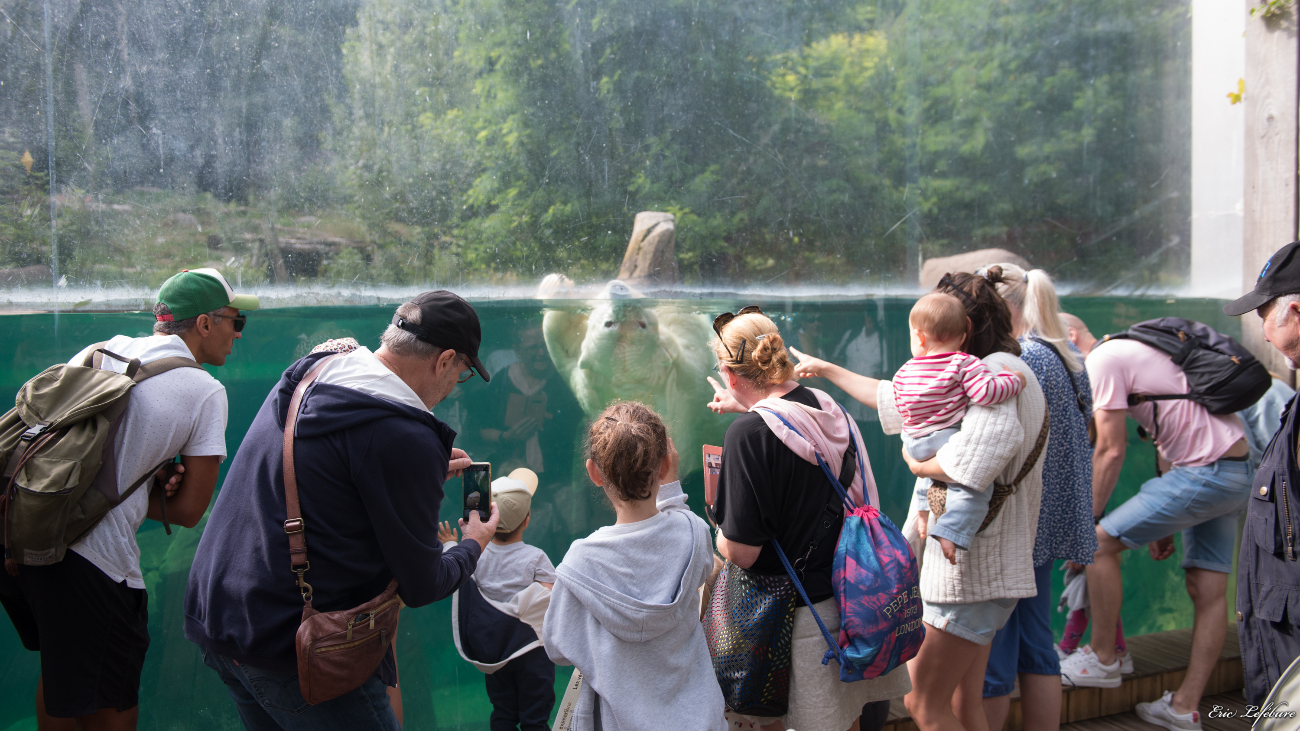 Parc-Zoologique-Botanique-Mulhouse-33