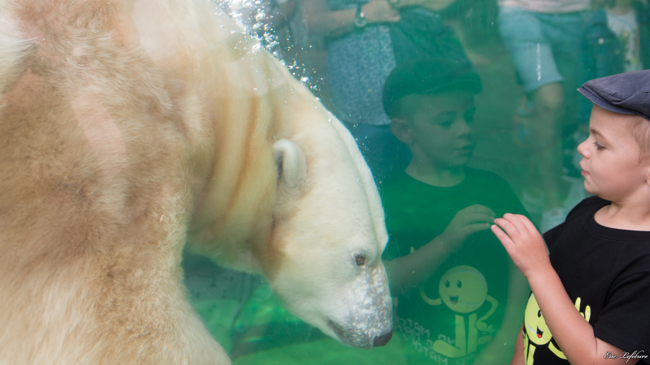 Parc-Zoologique-Botanique-Mulhouse-36
