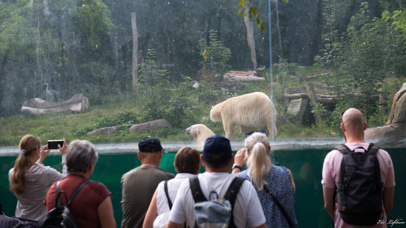 Parc-Zoologique-Botanique-Mulhouse-39