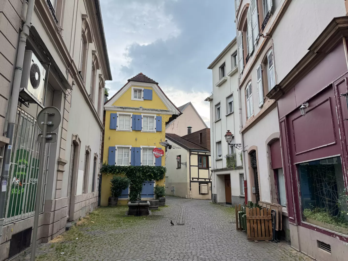 Photo de JARDIN DES SENTEURS
